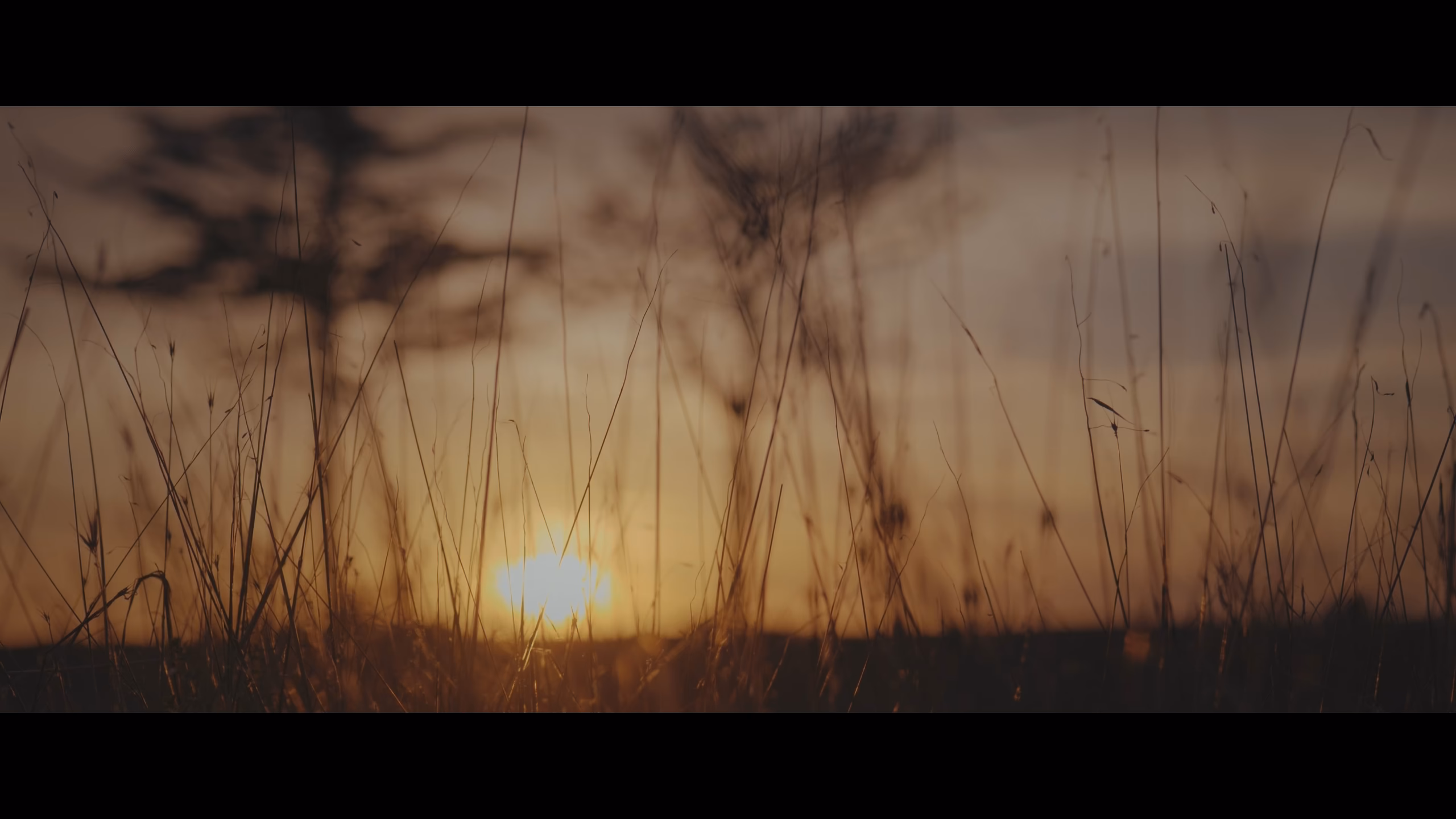 Wedding Film at the Abbey of San Giusto · Real cinema for those who live on set
